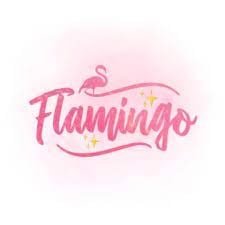 فلامنجو | flamingo